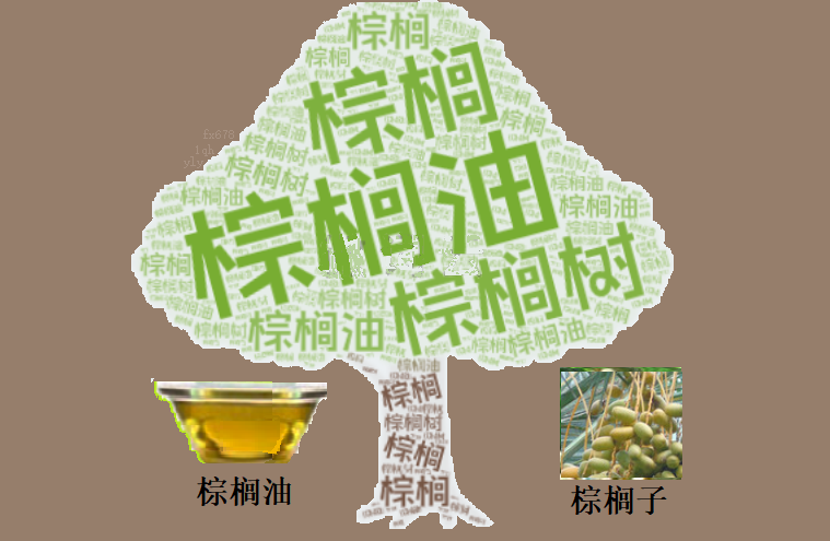 FxPro浦汇登陆入口:MPOB数据倒计时!棕榈油技术面发出“黄牌警告”?